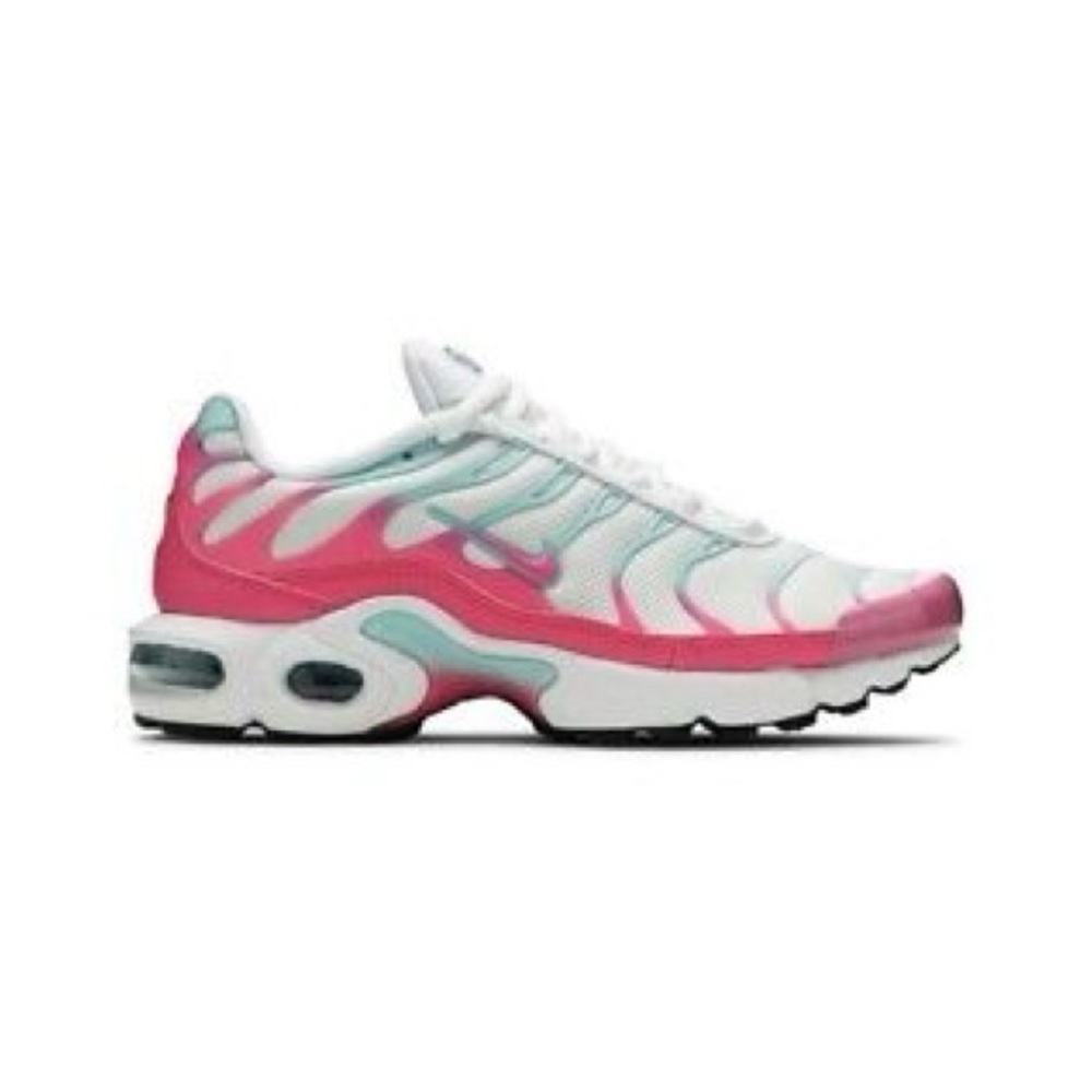 nike air max plus miami